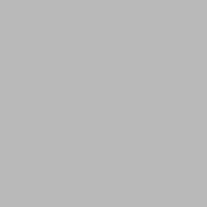 Линолеум FORBO Sarlon Colour 19dB 861T4319 light grey uni фото ##numphoto## | FLOORDEALER